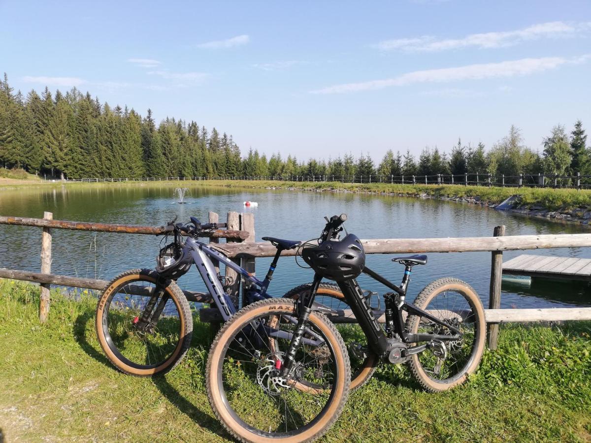 Weixl Schi&Bike Appartements-Bike In&Bike Out Neben Wexl Trails Bikepark Санкт-Корона-ам-Вексель Экстерьер фото