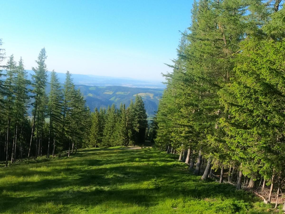 Weixl Schi&Bike Appartements-Bike In&Bike Out Neben Wexl Trails Bikepark Санкт-Корона-ам-Вексель Экстерьер фото