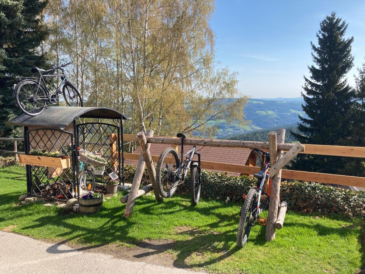 Weixl Schi&Bike Appartements-Bike In&Bike Out Neben Wexl Trails Bikepark Санкт-Корона-ам-Вексель Экстерьер фото