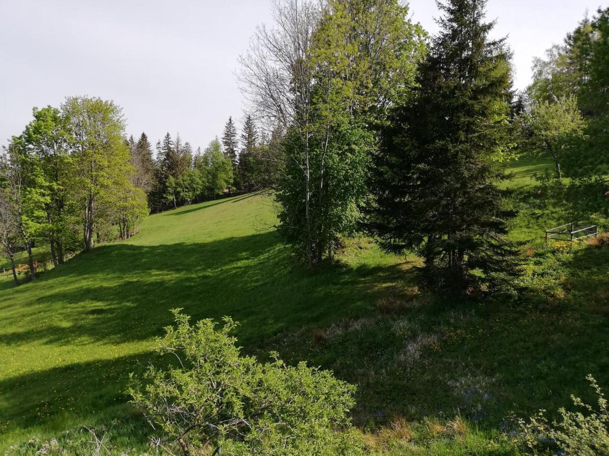 Weixl Schi&Bike Appartements-Bike In&Bike Out Neben Wexl Trails Bikepark Санкт-Корона-ам-Вексель Экстерьер фото